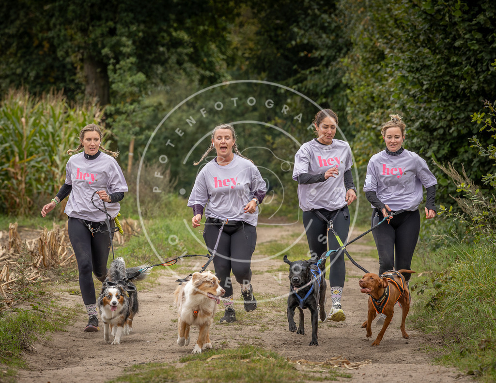 Pfotenfotografie_DV3A7115 | Hundefotografie, Tierfotograf, Pfotenfotografie, Fotoshooting Hund, Hunde Portrait, Hundesport, Hundeportraits, Heideshooting, Hunde, Sportfotograf, Hundefotograf, Turnierhundsport, THS,  - Realisiert mit Pictrs.com
