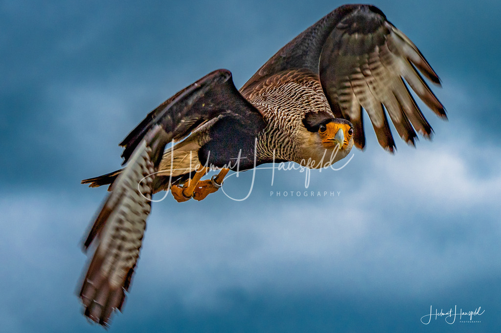 DSC09405 | Landschaftsfotografie, Naturfotografie - Realisiert mit Pictrs.com