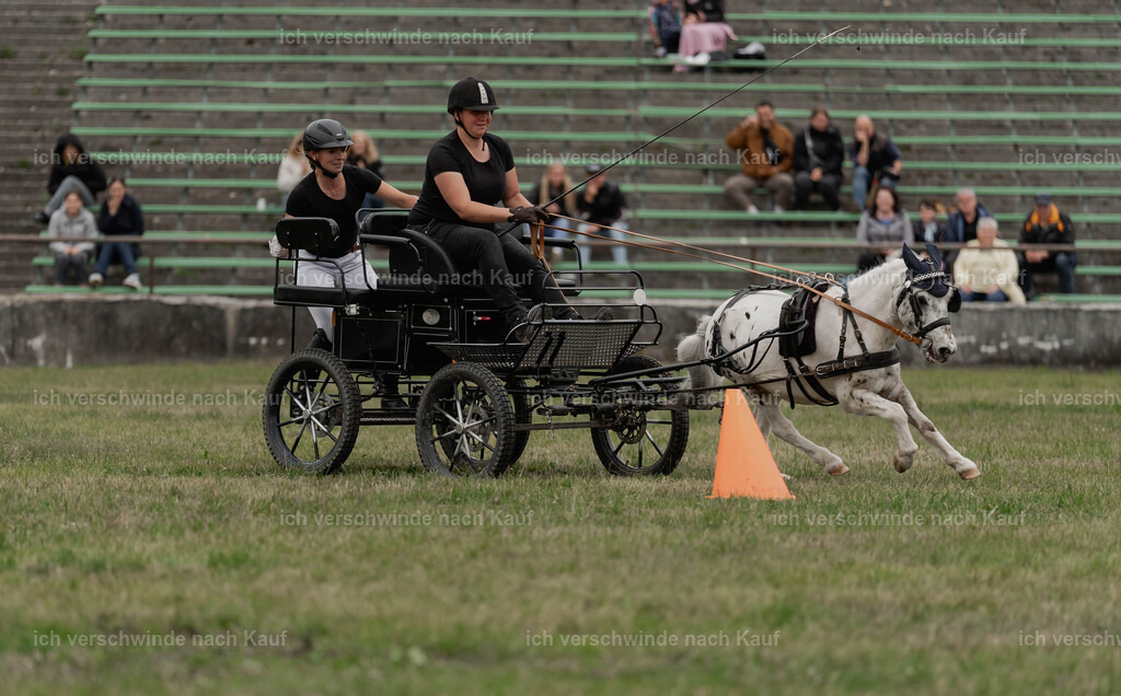 Showprogramm-506 | working equitationturnier fotograf videograf stoibphotography marixx film working equitation deutschland reitsport turnierfotografie eventfotografie equestrian events