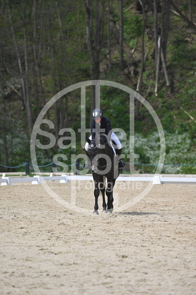 DSC_3066 | sattelsport - Realisiert mit Pictrs.com