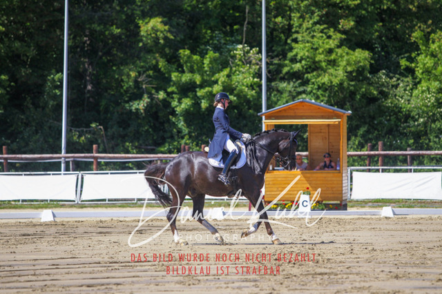 DKP42317 | Turniersportfotografie; Pferdefotografie; Dressurfotografie