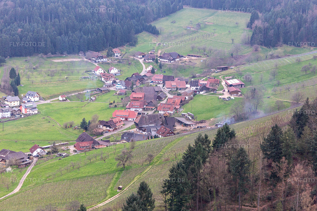 Luftbild: Strohbach in Gengenbach im Bundesland Baden-Württemberg in Deutschland. Foto: IMG_120259.jpg vom 17.03.2020 durch Werner Riehm/FLY-FOTO.de