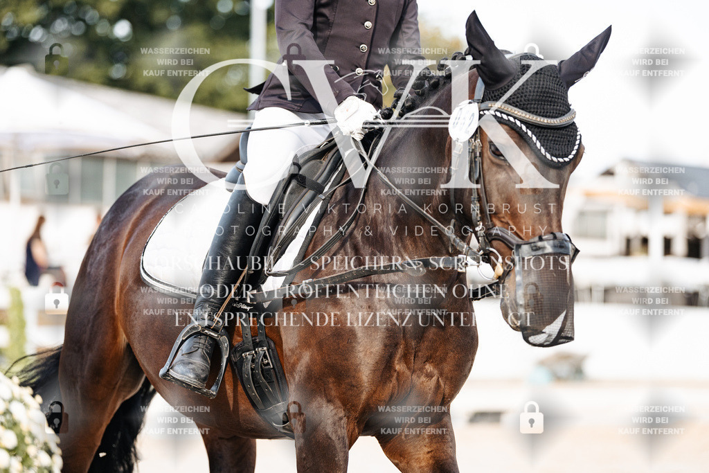CK904589 | Turnierfotografie Pferdefotografie Trier Rheinland-Pfalz Pferdesport Reitsport Tierfotografie Sportfotografie Pferdevideo Pferdevideografie Equestrianvideography equestrianphotography  - Realisiert mit Pictrs.com