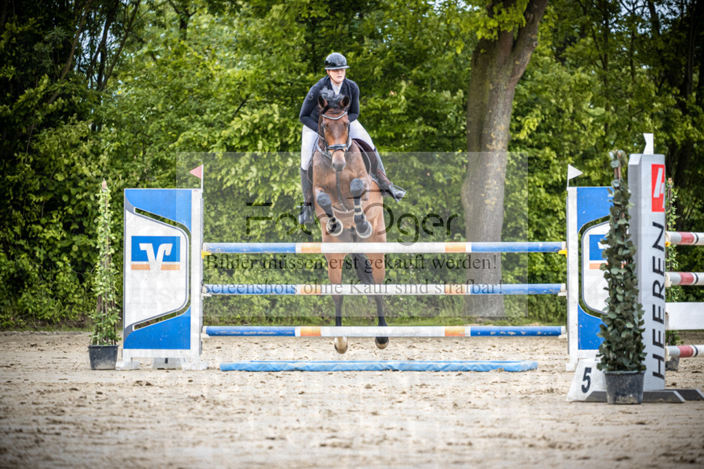 DOS_1204 | Reitturnier Lüdinghausen - Realisiert mit Pictrs.com