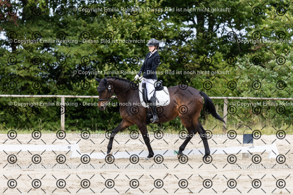 CL5A4485 | Emilia Reinking Fotografie - Realisiert mit Pictrs.com