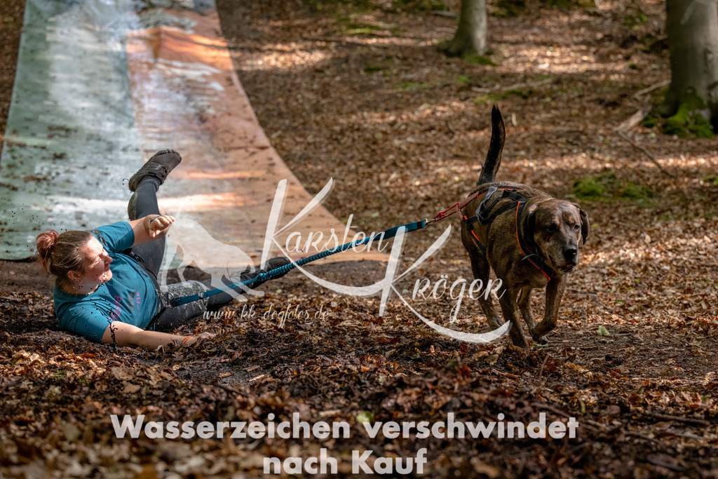1241_ZZ90926-Bearbeitet | kk-dogfotos