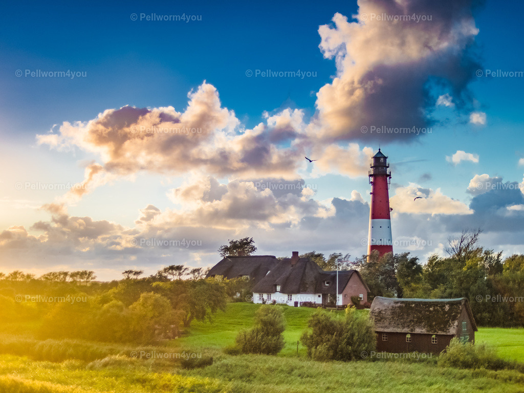 Pellworm-Pellworm-Leuchtturm_20150902-_9022726-_pictrs | Pellwormer Bilder und Fotos als Poster, auf Leinwand mit Keilrahmen, hinter Acrylglas, auf Alu-Dibond oder Forex-Platte und vieles mehr. Zum verschenken, für die Ferienwohnung oder für zu Hause. - Realisiert mit Pictrs.com