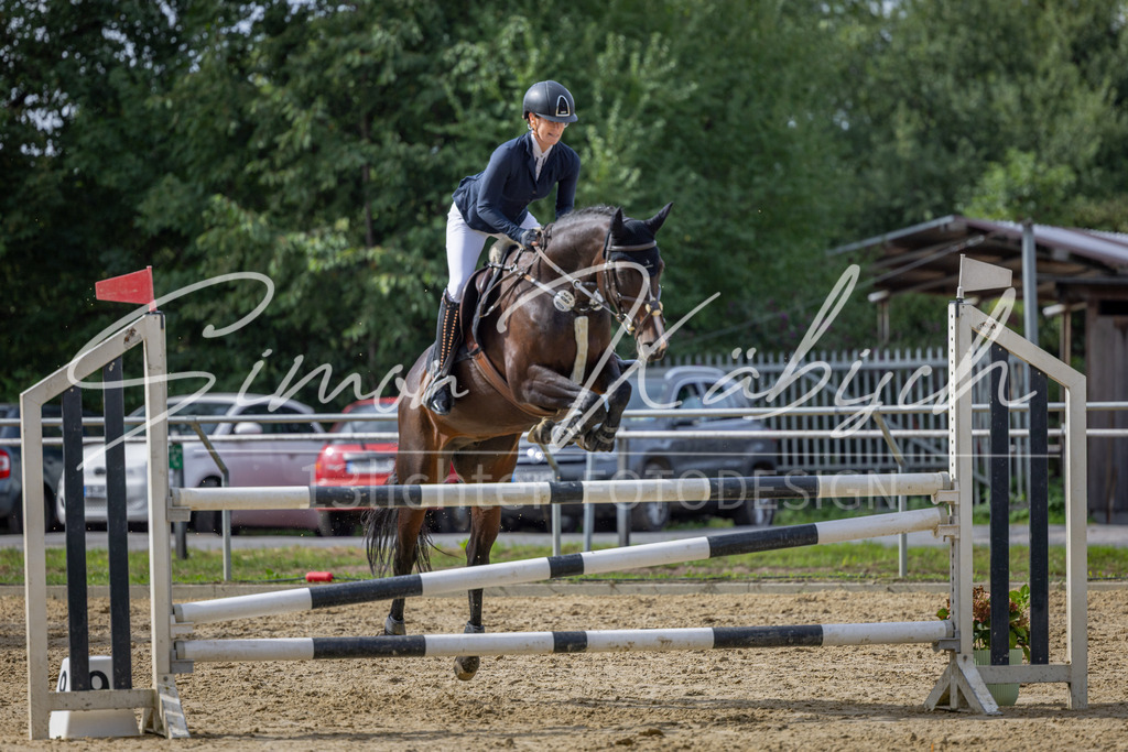 20260905-_3LI7556 | Tierfotografie Pferde, Hunde, Katzen, Haustiere.
Turnierfotografie Reitturniere, Reiten, Springreiten, Dressur in Hanau, dem Main-Kinzig-Kreis und dem Rhein-Main- Gebiet um Frankfurt