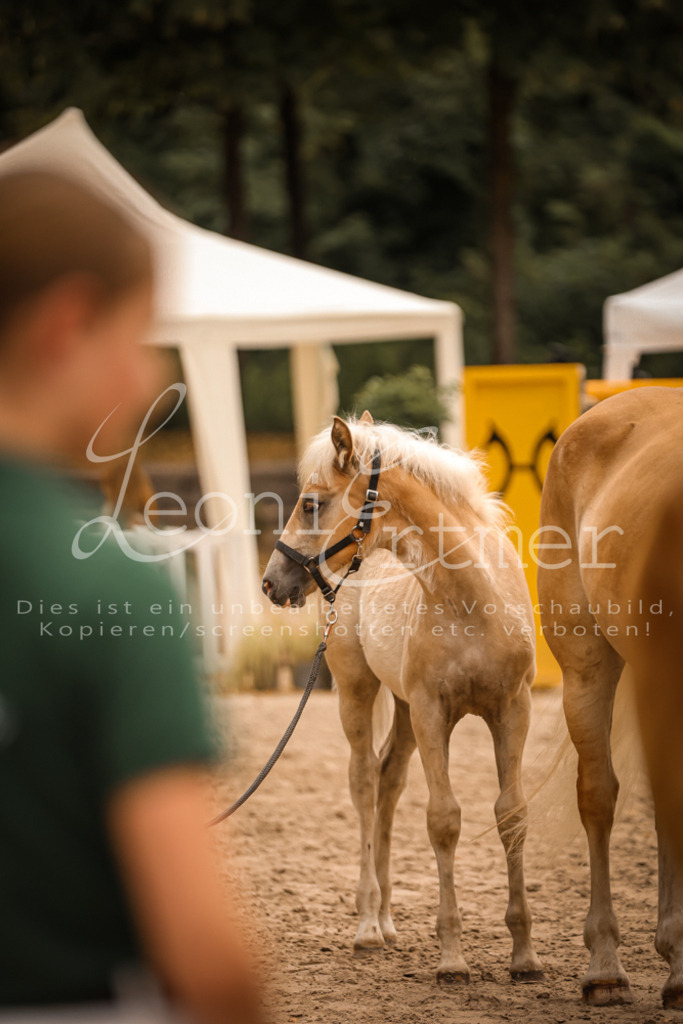 06.So00115 | Leoni Ertmer Photography - Realisiert mit Pictrs.com