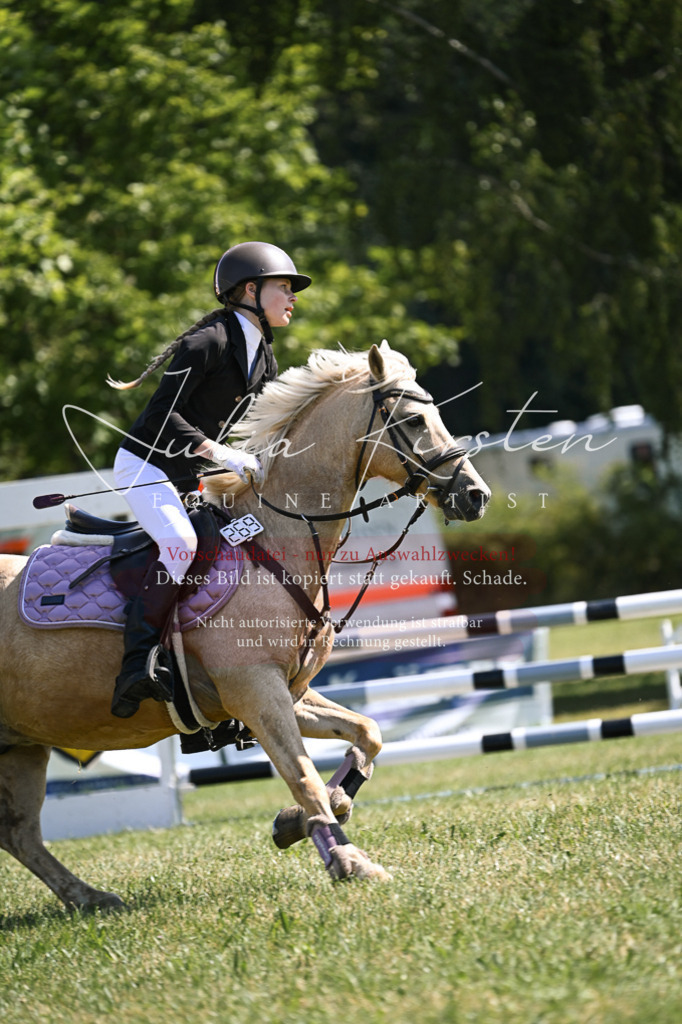 DSC_8830 | Pferde- und Turnierfotografie in Westsachsen. Pferdeportraits, Auftragszeichnungen und intuitive Kunst.