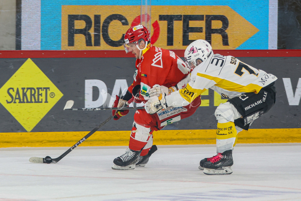 EHCB vs HCA 20260127_wb-9770 | Sportbilder, Sportfotograf, Hochzeits- und Eventfotografin, Flugshows, Portraits und Tiershooting, Aviation, Downhill, Nationalleague, Swissleague, International