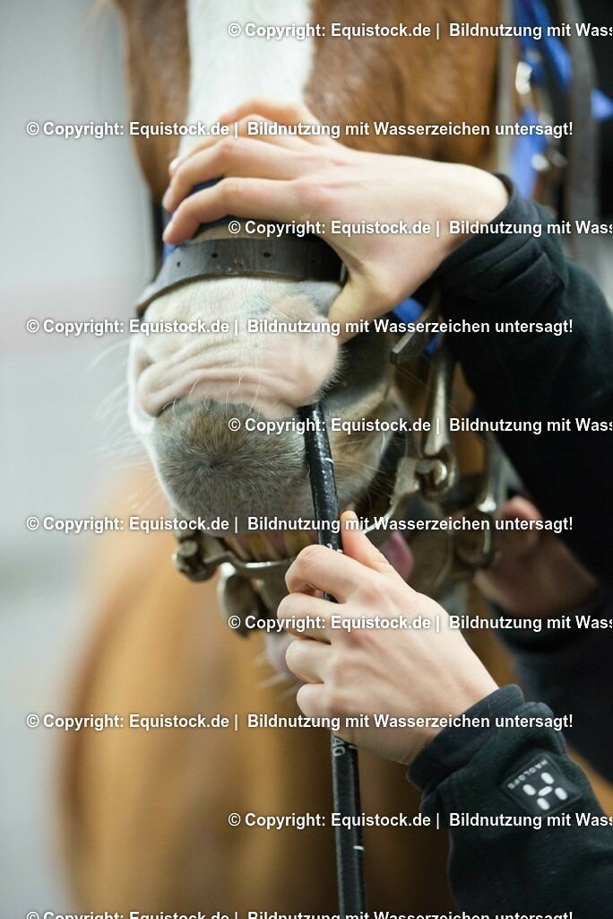 20170113_Endoskopie_0004 | Foto: Thomas Hartig