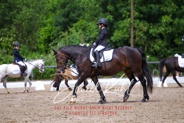 DKP47519 | Turnierfotos kaufen im Webshop von Daniel Kuhl Photography – entdecke professionelle Reitsportfotos aus Turnieren & Events. Hochwertige Turnierbilder online bestellen & sichern. Jetzt Fotos von Reitsportturnieren kaufen!