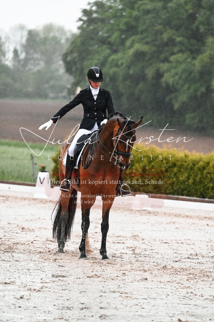 DSC_4601 | Pferde- und Turnierfotografie in Westsachsen. Pferdeportraits, Auftragszeichnungen und intuitive Kunst.