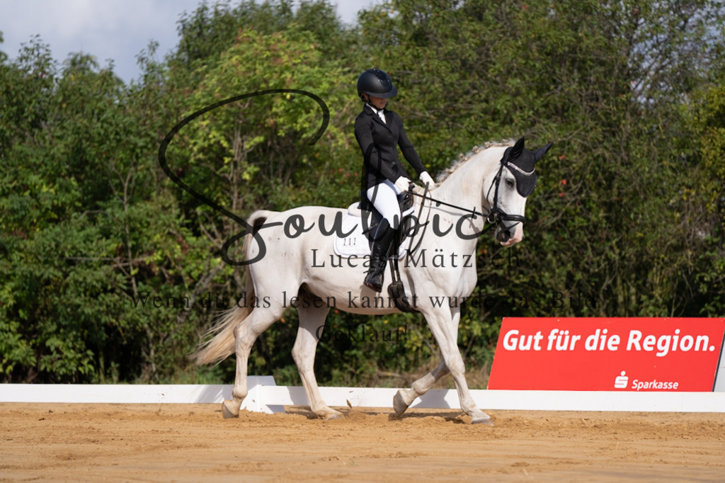 A7V05139 | Pferdefotograf