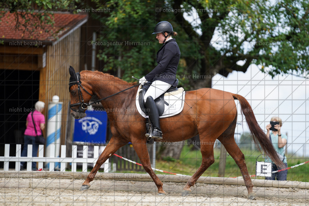 20230826-FAH05595 | Forstinning, 2023, Dressurturnier, Turniersportbilder, Turnierfotografen Bayern, Fotoagentur Herrmann, Reitsportfotografie, Turnierbilder