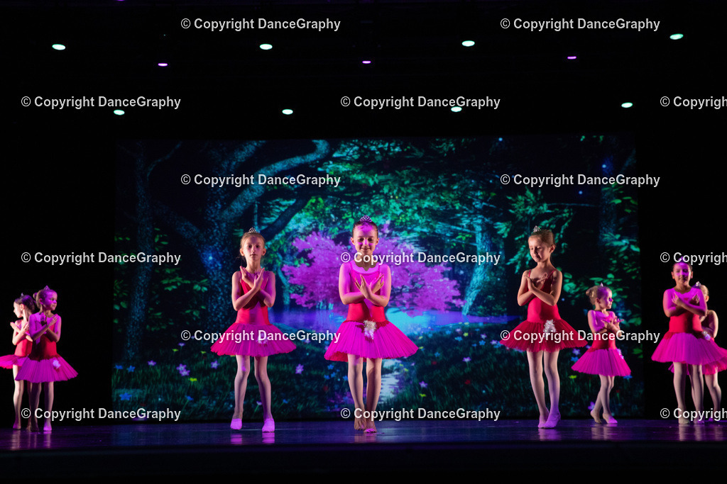 GPHY6035 | DanceGraphy - Realisiert mit Pictrs.com