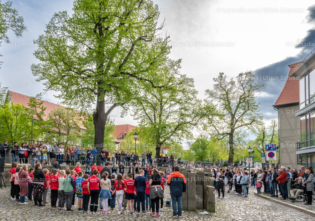 10049-13136 - Gedenken an den Steinen der Erinnerung | Stockfoto und Bilderpool mit Bildmaterial aus Deutschland, dem Harz, Halberstadt, Quedlinburg, Wernigerode und weltweit. Qualitativ hochwertige und professionelle Fotos anschauen und kaufen. - Realisiert mit Pictrs.com