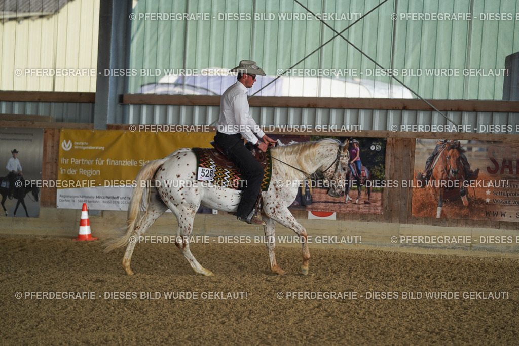 DSC07981 | Pferdegrafie