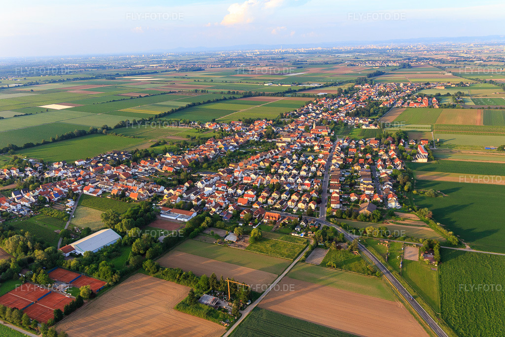Luftbild: Ortsansicht aus Westen im Ortsteil Rödersheim in Rödersheim-Gronau im Bundesland Rheinland-Pfalz in Deutschland. Foto: IMG_107456.jpg vom 25.05.2018 durch Werner Riehm/FLY-FOTO.de