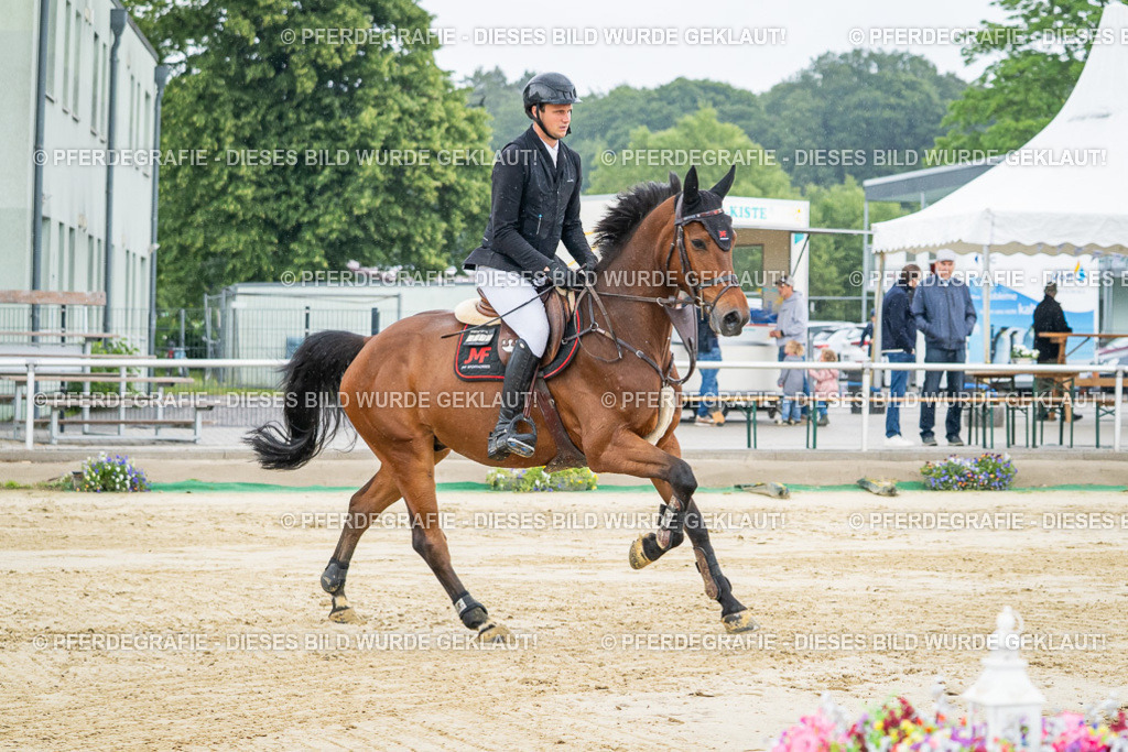 DSC01449 | Pferdegrafie