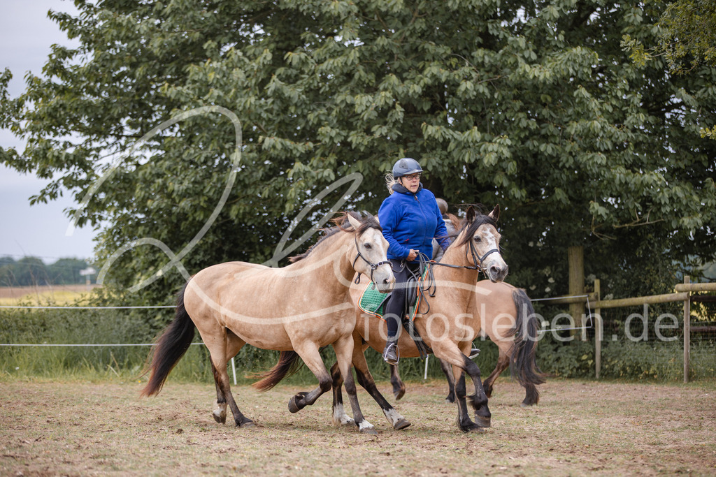 846A0041 | fotosleben - Realisiert mit Pictrs.com