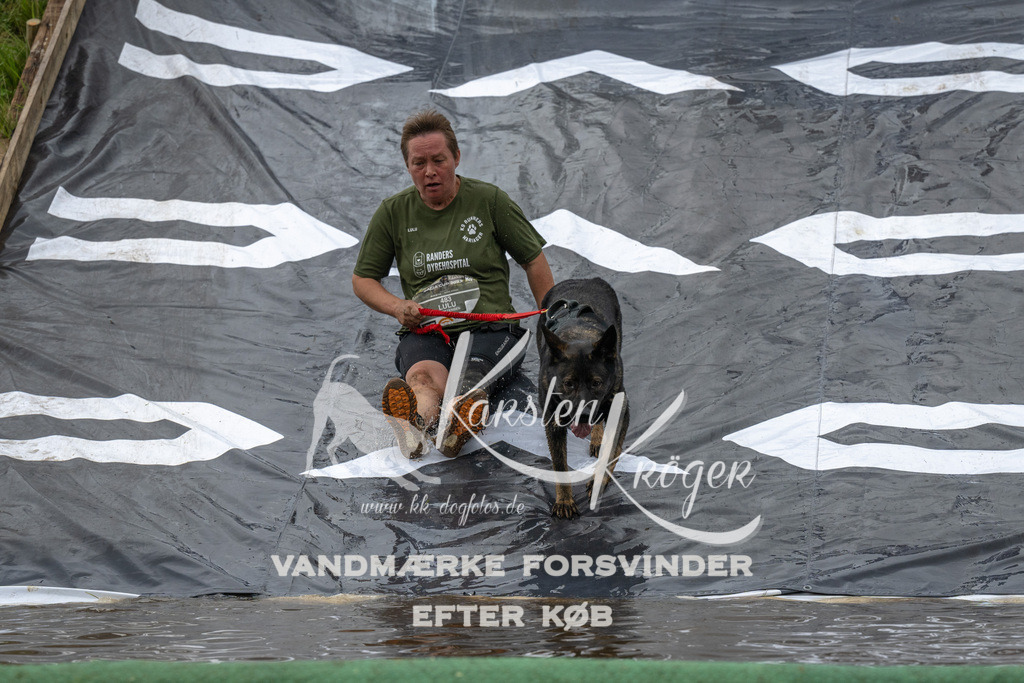 1605_ZZ92252 | kk-dogfotos