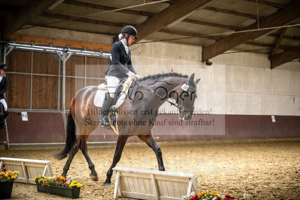 DOS_1179 | Reitturnier Lüdinghausen - Realisiert mit Pictrs.com