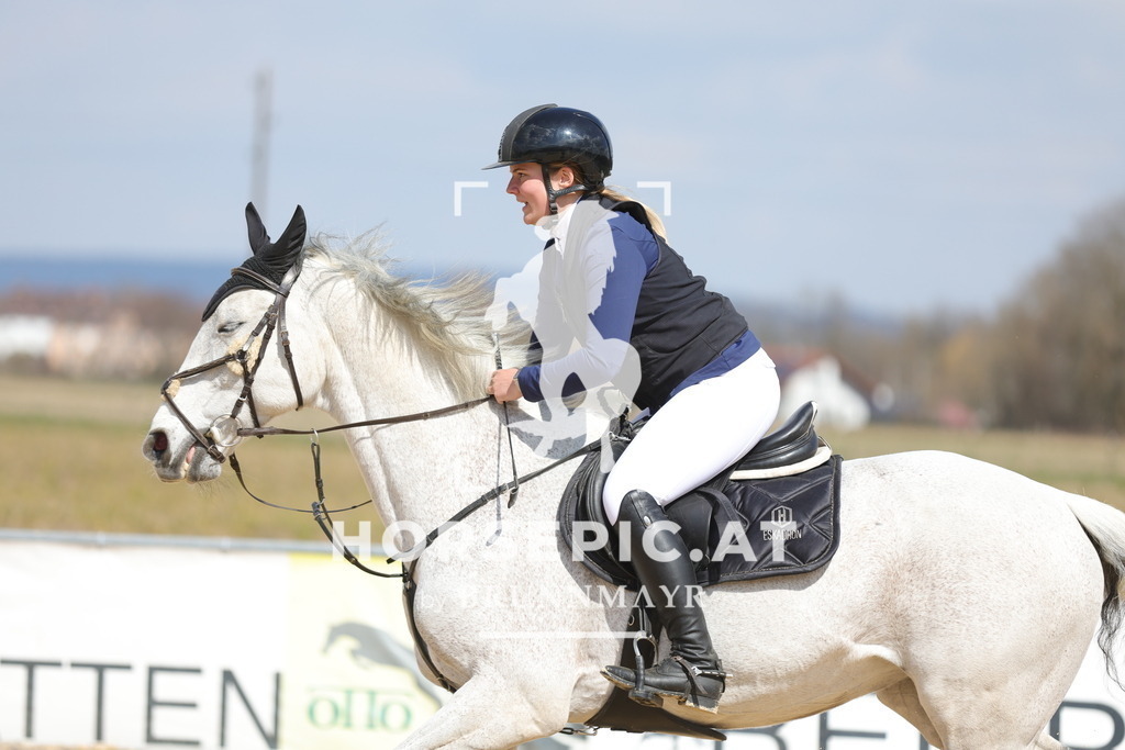 0P6A7541 | Willkommen bei Brunnmayr - Design & Fotografie – Ihrem Spezialisten für Reitturniere und Pferdeveranstaltungen in Oberösterreich, Salzburg und Bayern! Seit über 17 Jahren sind wir leidenschaftlich dabei.