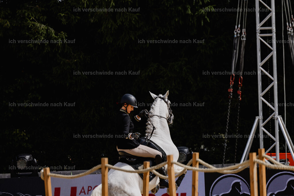 Virginie12FHC2025-20076 | working equitationturnier fotograf videograf stoibphotography marixx film working equitation deutschland reitsport turnierfotografie eventfotografie equestrian events