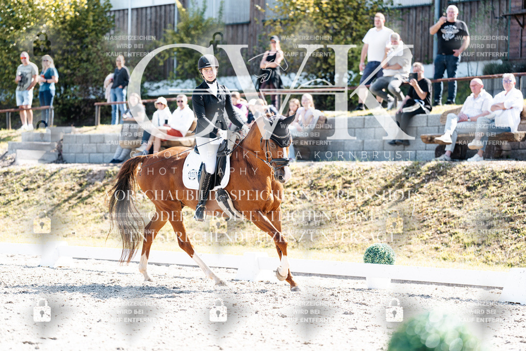 CK909559 | Turnierfotografie Pferdefotografie Trier Rheinland-Pfalz Pferdesport Reitsport Tierfotografie Sportfotografie Pferdevideo Pferdevideografie Equestrianvideography equestrianphotography  - Realisiert mit Pictrs.com