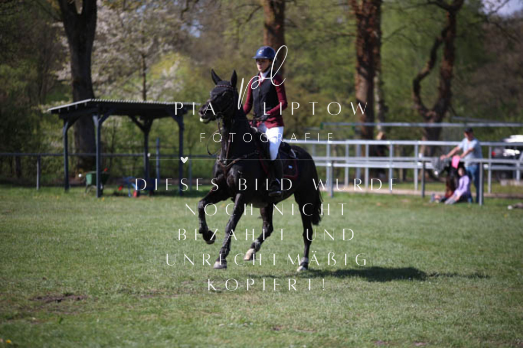 IMGT5661 | pl-fotografie