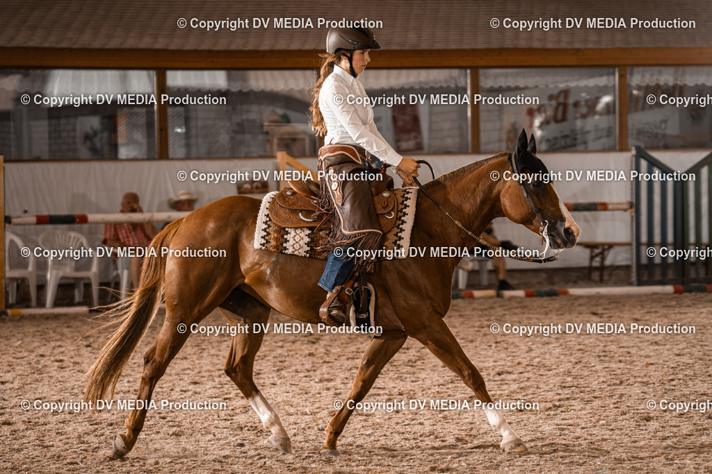 ZH300578 | dv-media-shop - Realisiert mit Pictrs.com