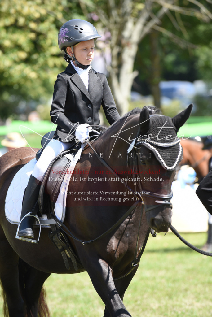 DSC_9753 | Pferde- und Turnierfotografie in Westsachsen. Pferdeportraits, Auftragszeichnungen und intuitive Kunst.