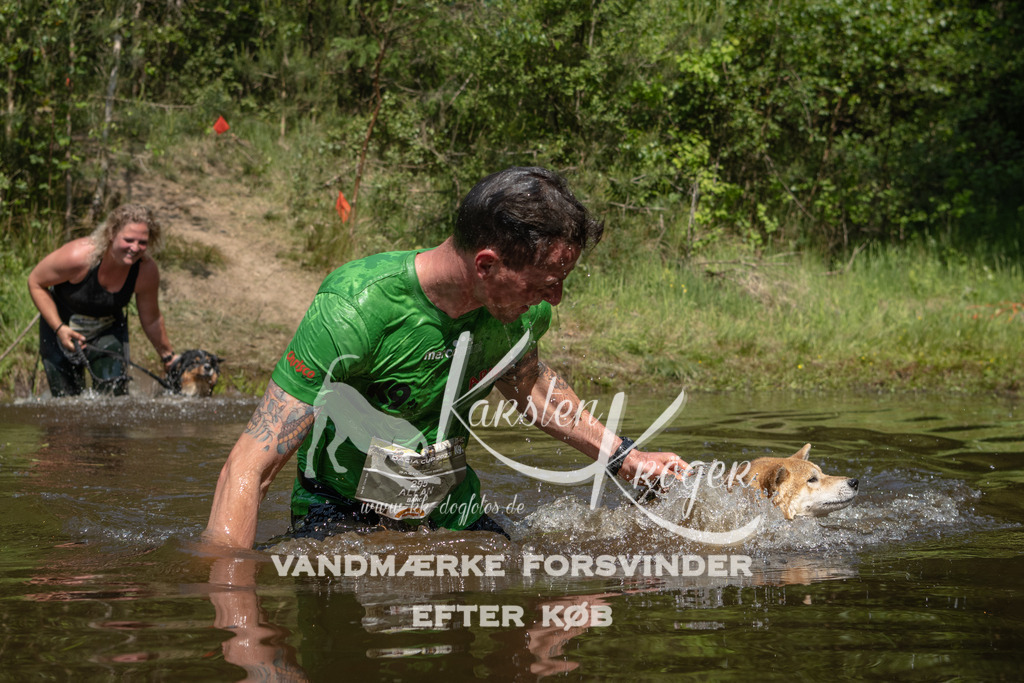 1103DKK991882 | kk-dogfotos