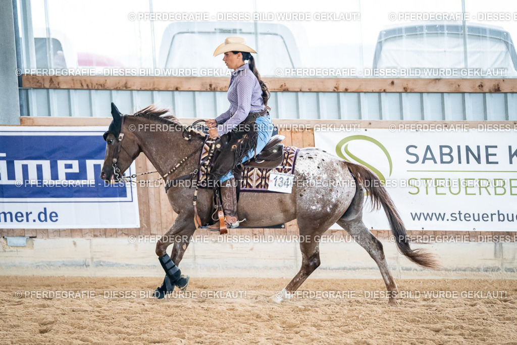 DSC03285 | Pferdegrafie