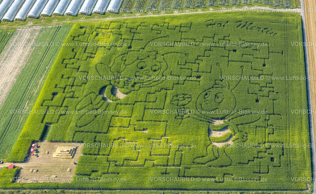 Dortmund240804578 | Luftbild, Wiese und Feld mit Muster und Kunstwerk Biene Maja und Willi Figuren, Hof Mertin Bönninghauser Straße, Formen und Farben, Hostedde, Dortmund, Ruhrgebiet, Nordrhein-Westfalen, Deutschland