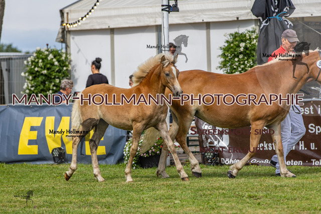 LTN 2024 (495) | mandyhollmannphotographie
