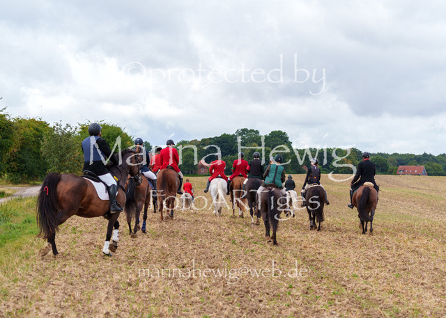 Jagd Knoop 26_MarinaHewigMCH02369 | Fotografie, FotoArt, PferdesportArt, Pferdesportfotografie, Landschaftsfotografie, Reisefotografie, Reise, Pferde - Realisiert mit Pictrs.com