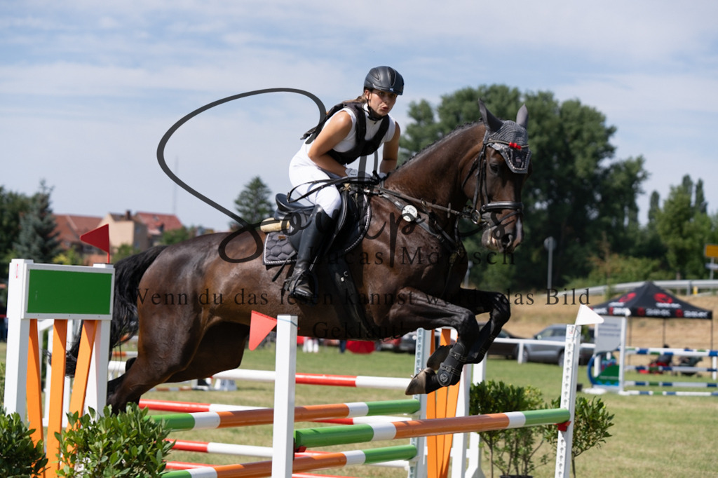 A7V01653 | Turnier/Reitfotograf