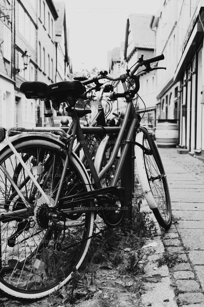 26004 | Wandbilder, Bilder, Fotograf in Marburg, Tierbilder, Wandfotos, Bilder Shop, Günstige Bilder, Schwarz-Weiß Bilder, Ralph Heiser