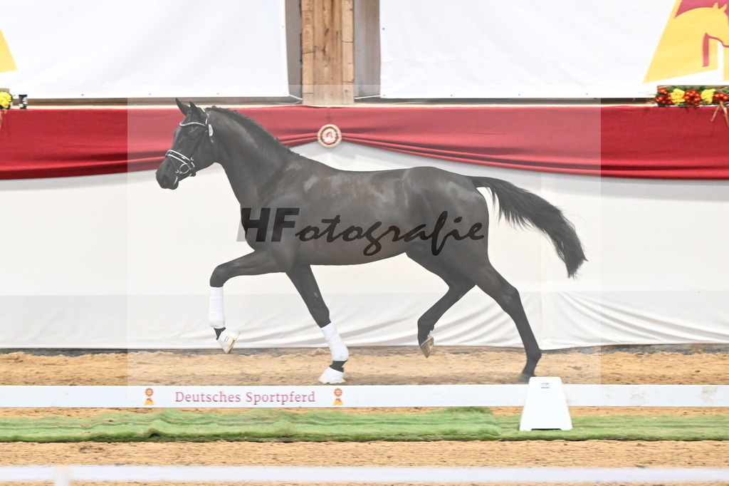 Kat.-Nr. 39 v. De Chirico_Schadock_3260298 | hf-fotografie - Realisiert mit Pictrs.com