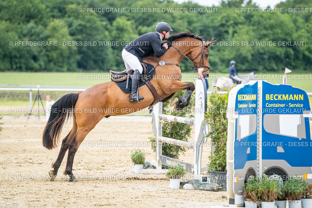 DSC05424 | Pferdegrafie