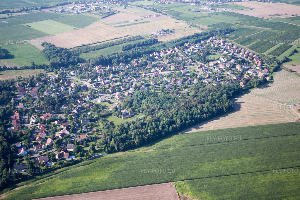 Vue aérienne: Kientzville à Scherwiller dans le département Bas Rhin, France. Photo: IMG_093265.jpg prise le 16/08/2016 par Werner Riehm/FLY-FOTO.eu – Résolution de l'original: 5472 x 3648 px