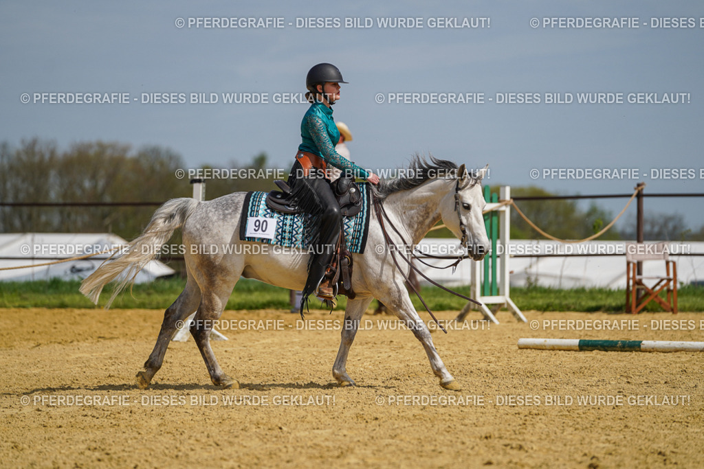 DSC04587 | Pferdegrafie