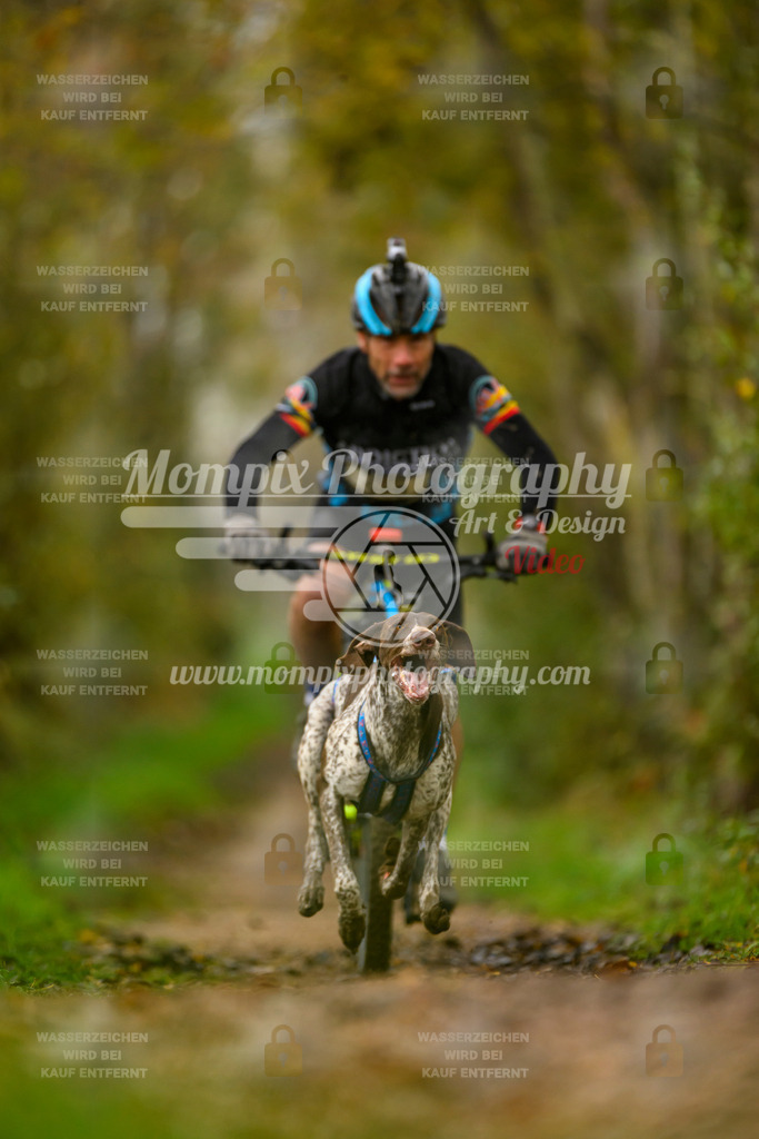 MompixPhotography_20TSB_E6_Bike-22 | PayLife