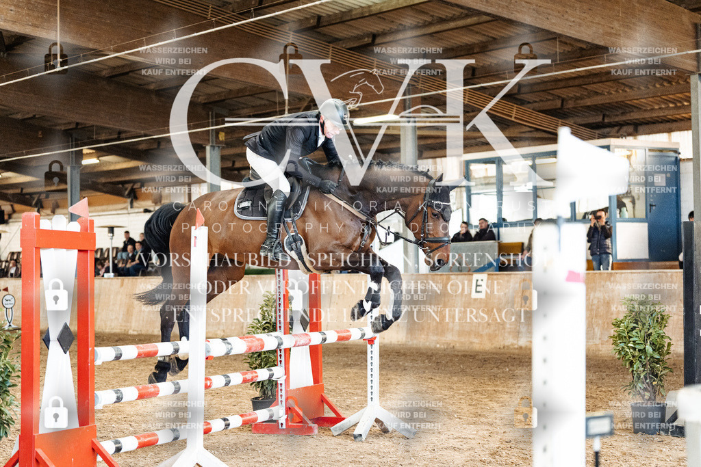 CK905274 | Turnierfotografie Pferdefotografie Trier Rheinland-Pfalz Pferdesport Reitsport Tierfotografie Sportfotografie Pferdevideo Pferdevideografie Equestrianvideography equestrianphotography  - Realisiert mit Pictrs.com