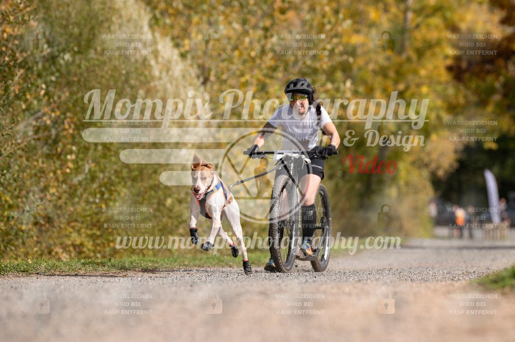 TSB_2023_E2_DS1-1 | mompixphotography