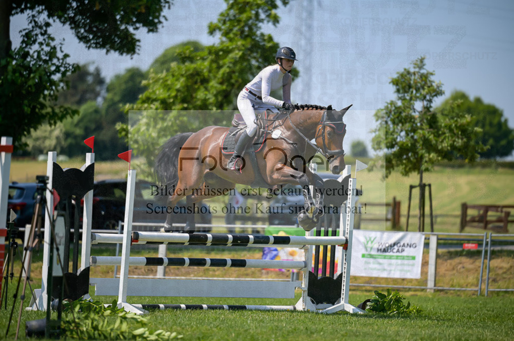 Reitturnier Voxtrup | Entdecke hochwertige Reitturnierfotos von Foto Oger. Professionell, emotional und authentisch – jetzt Lieblingsmomente im Shop bestellen.Deutschlandweite Turnierfotografie. - Realisiert mit Pictrs.com