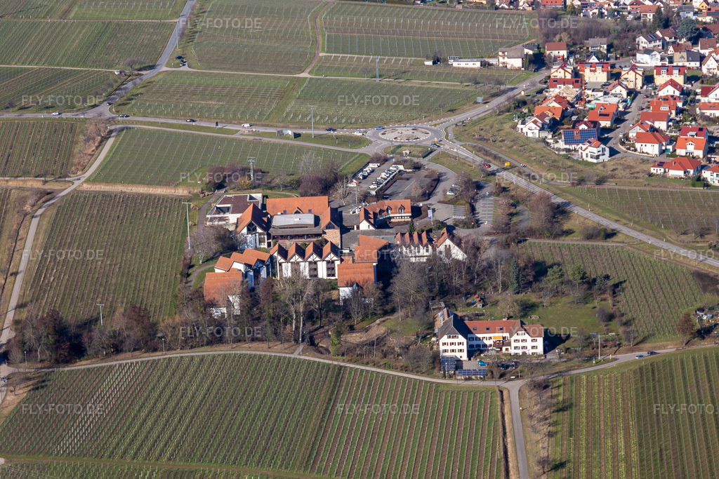 Luftbild: BG RCI in Maikammer im Bundesland Rheinland-Pfalz in Deutschland. Foto: IMG_125326.jpg vom 21.02.2021 durch Werner Riehm/FLY-FOTO.de